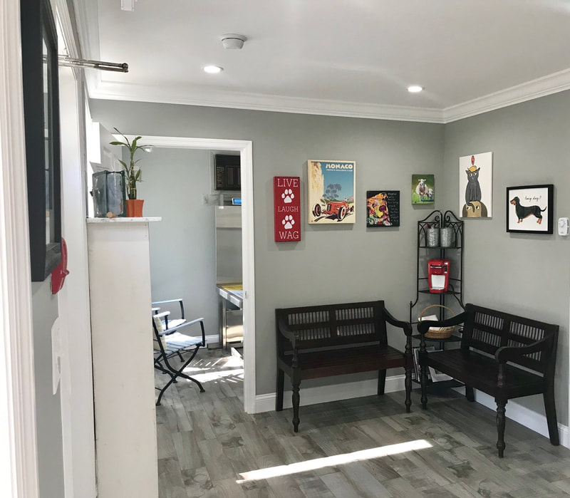 Dr T Vet Care