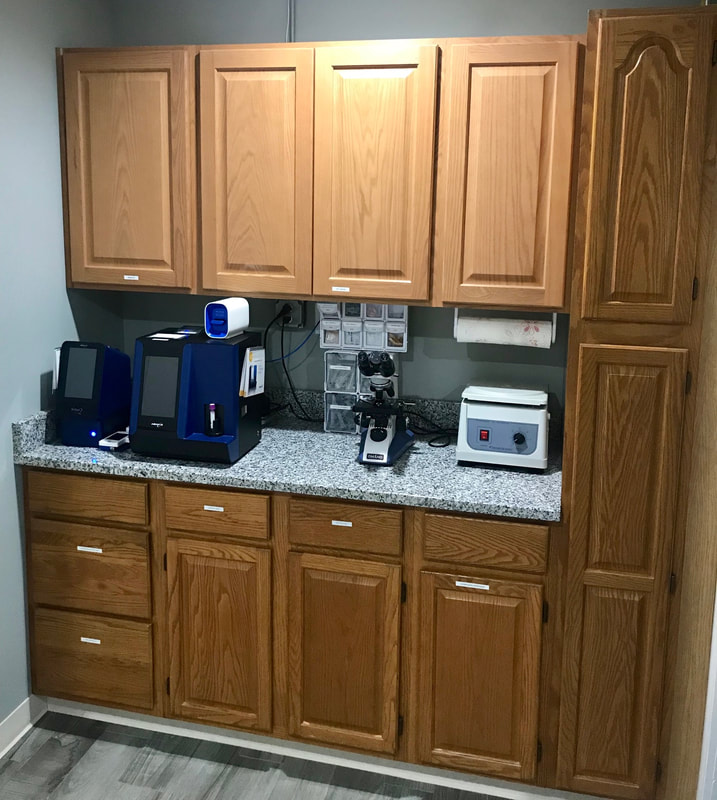 Laboratory diagnostic workstation with microscope and analyzers at our Blairstown, NJ veterinary hospital