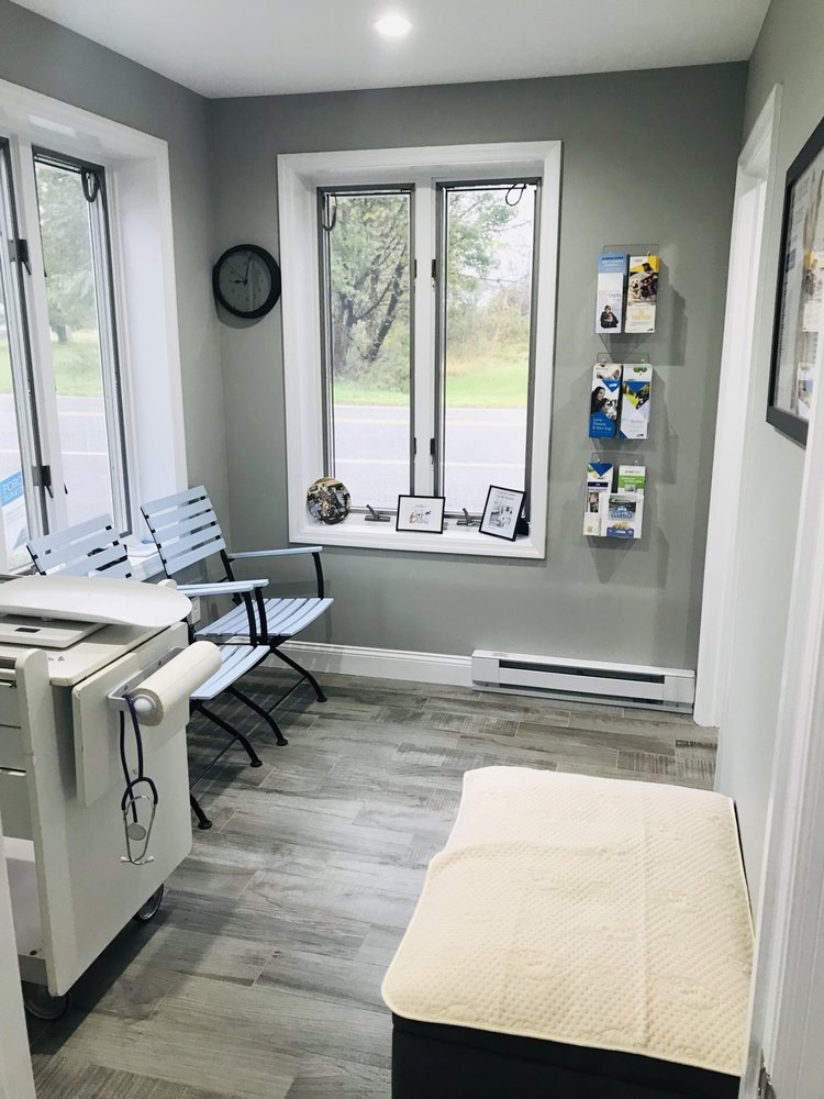 Exam room with exam table at our Blairstown, NJ veterinary hospital