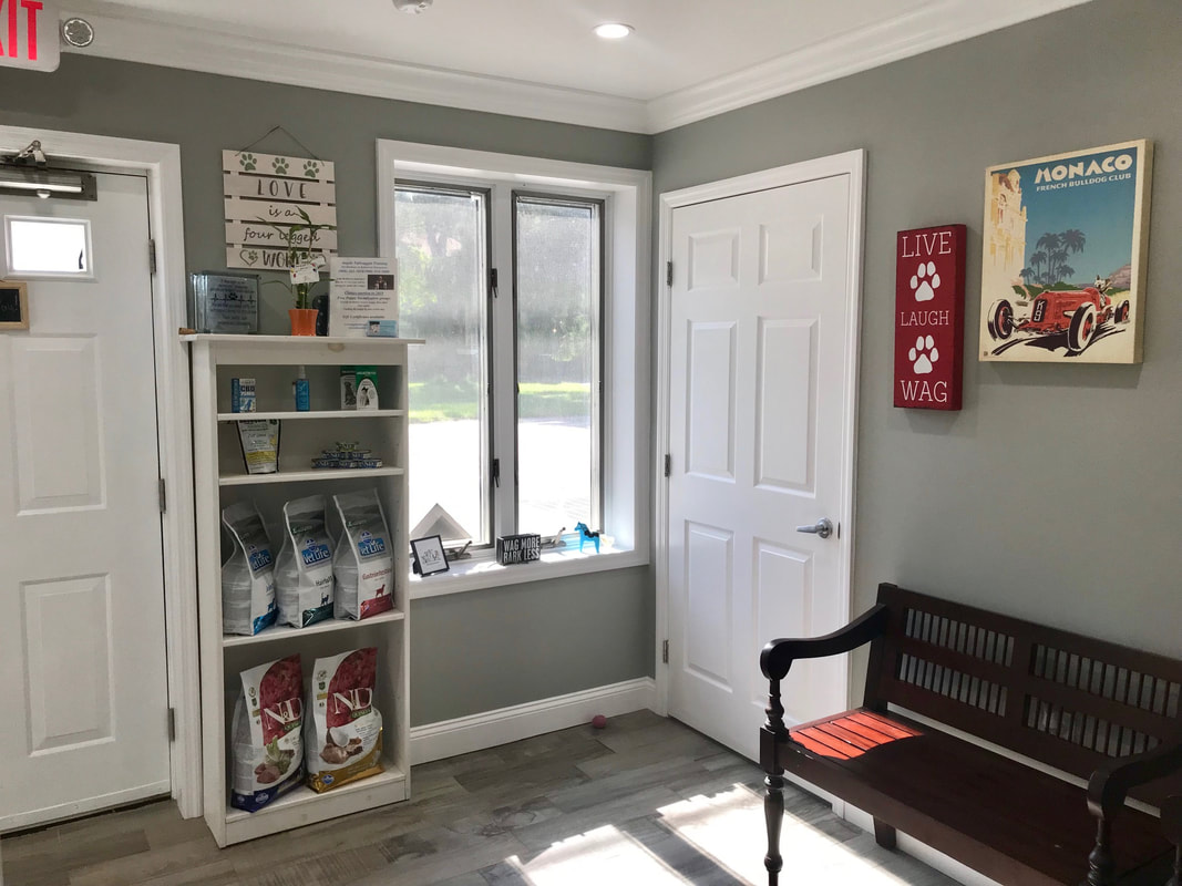 Welcoming reception area with seating and retail products at our Blairstown, NJ veterinary hospital