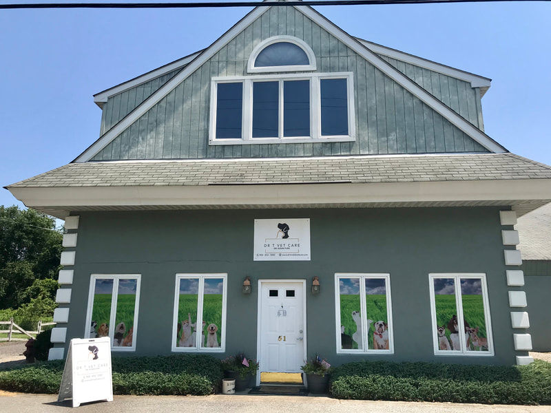 Exterior of Dr T Vet Care veterinary hospital in Blairstown, NJ