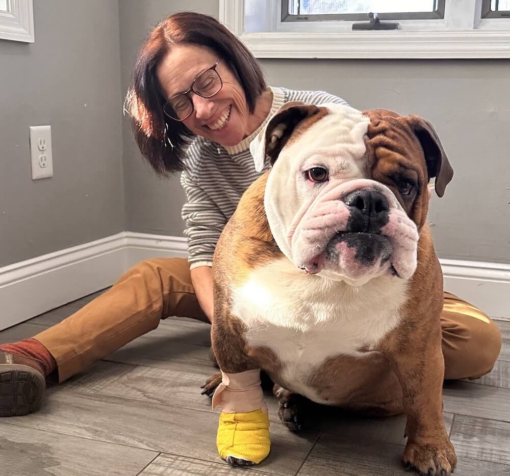 Veterinary Clinic Dr Turks with bulldog patient