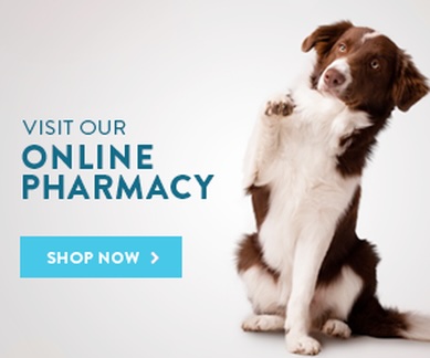 Visit our online pharmacy - shop now