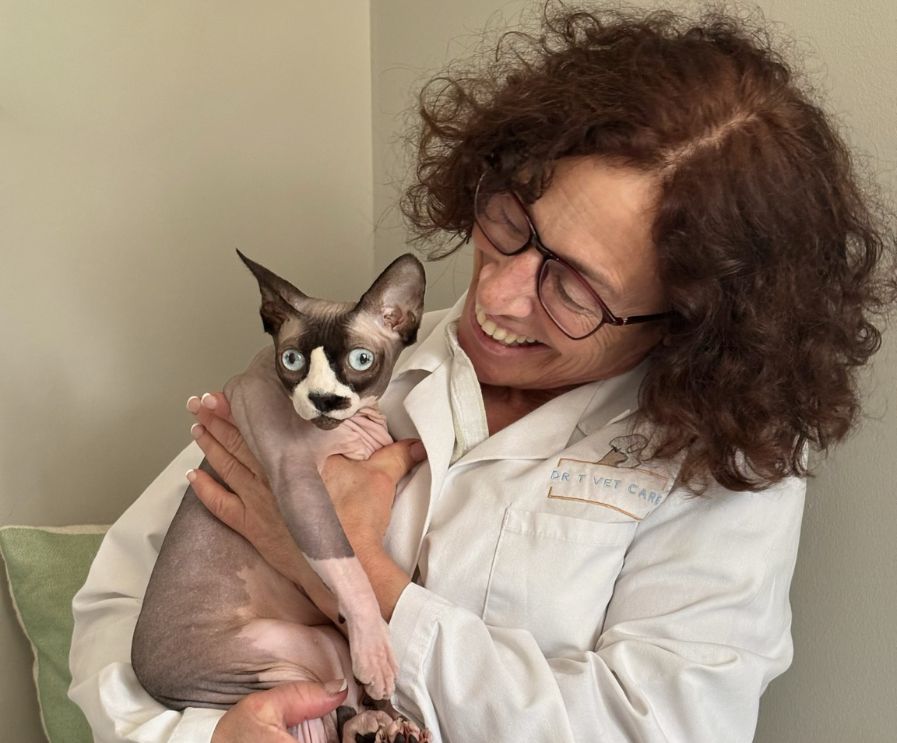 dr_t_with_cat