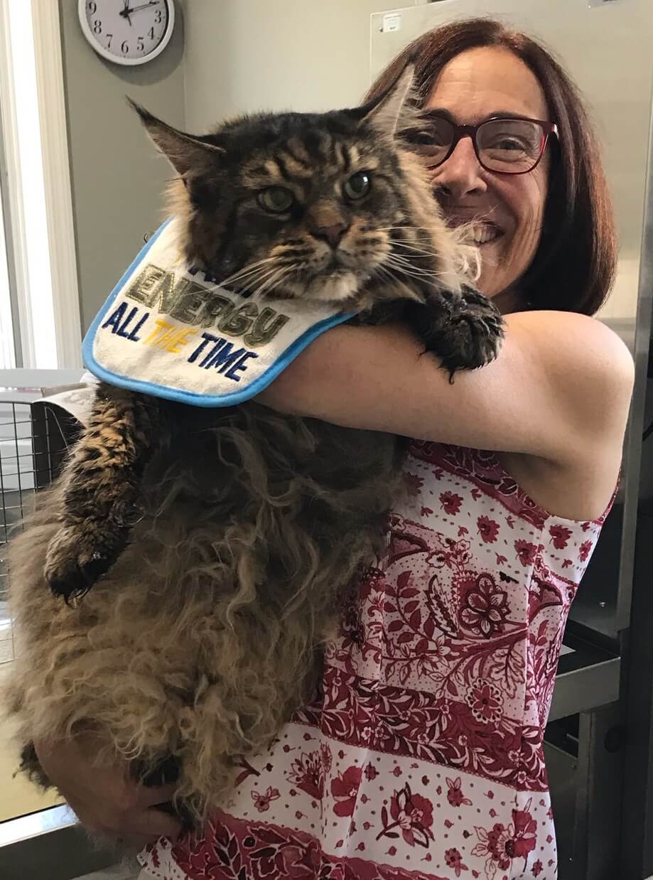 image of a large cat and Dr T vet