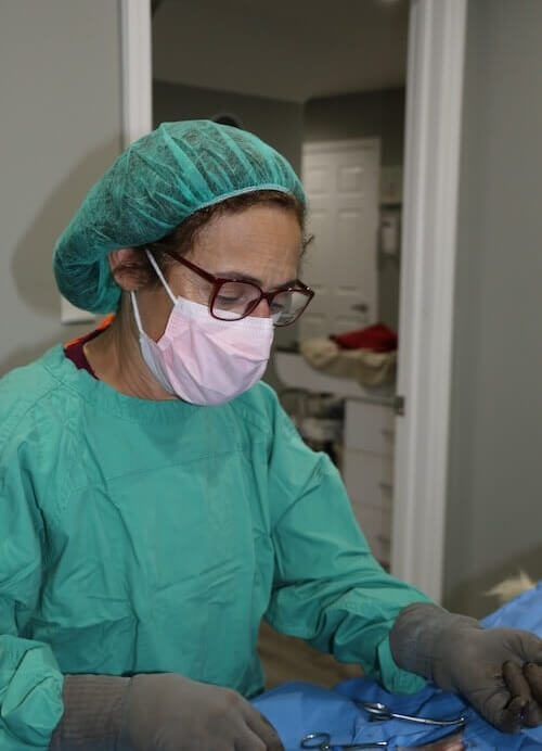 Surgery at the vet