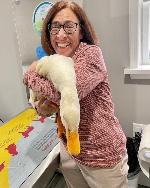 Exotic pets at our Blairstown, NJ veterinary hospital