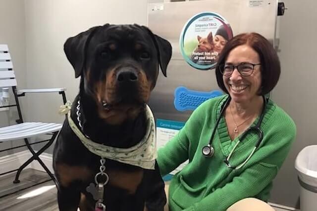 Cold Laser Therapy