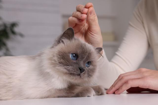 Acupuncture