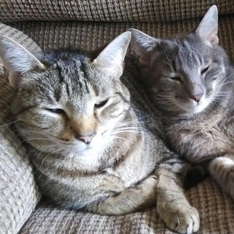 Stan and Ollie